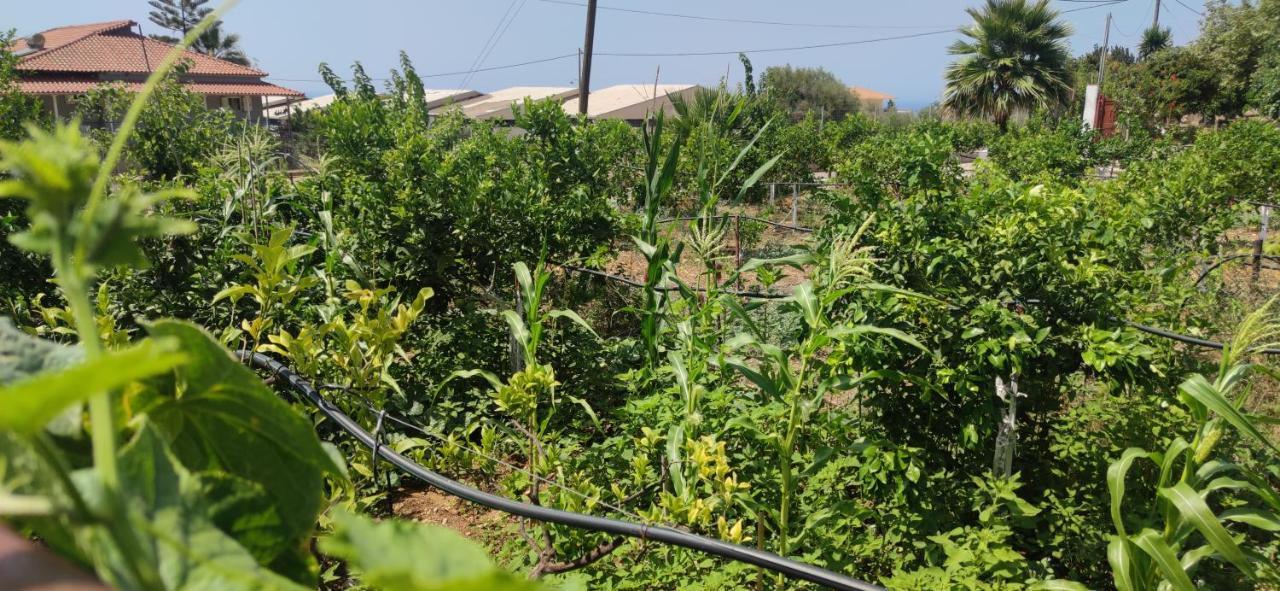 شقة Rontaki Farm كيوبارِسِيا المظهر الخارجي الصورة